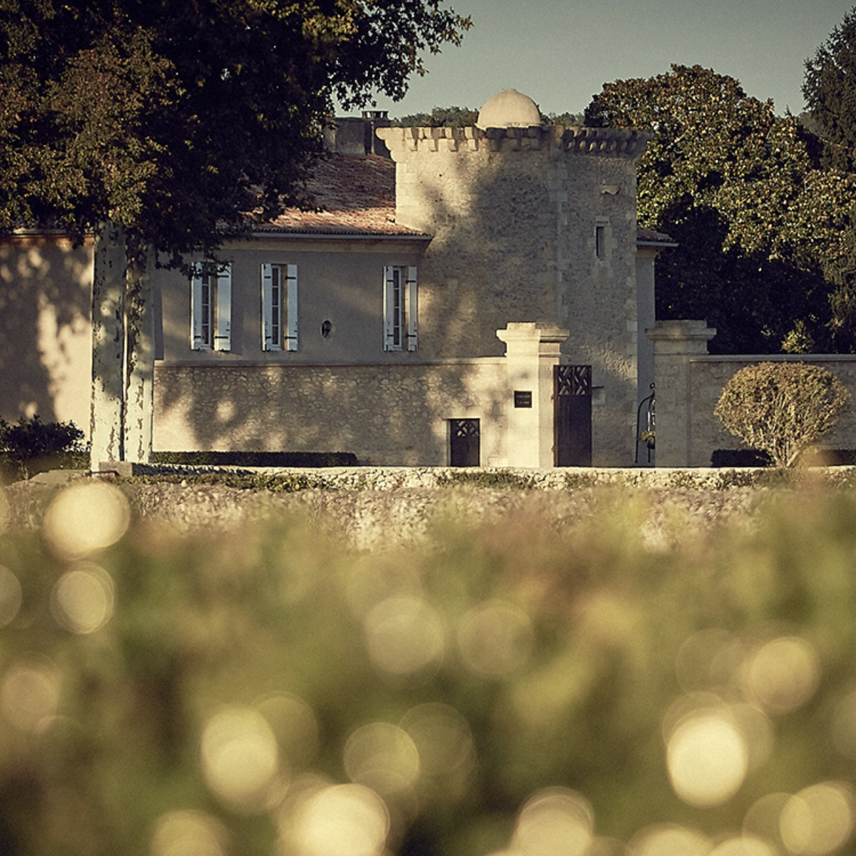 CHÂTEAU COUTET