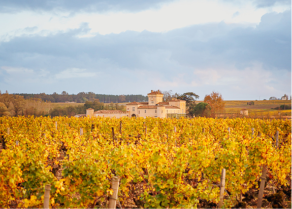 suterne-barsac-divino-009 2