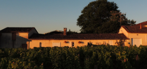 Domaine de la Gauche