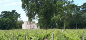 Château du Mayne La Merci