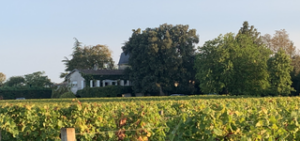 Château Liot