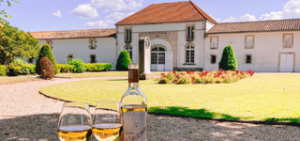 Château La Tour Blanche