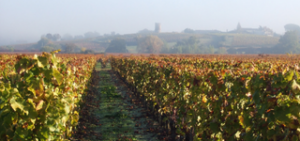 Château Haut-Claverie