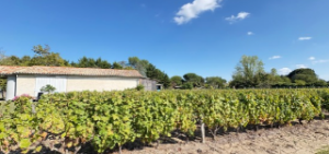 Clos Dorébène